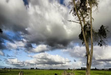 足球直播在线观看-RNG力克DRX2，Deft高光表现—一场激动人心的电竞对决解析