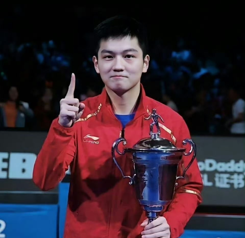 奥地利乒乓球队横扫瑞典乒乓球队，王皓高光表现的简单介绍